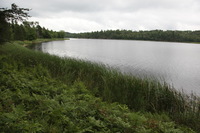 Canon EOS 5D Mark II, 2013:08:05 16:23:44 -- 1/80 sec, f/6.3.  No Flash, Compulsory.5616x3744 Off.