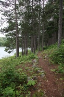 Canon EOS 5D Mark II, 2013:08:05 16:24:46 -- 1/80 sec, f/4.5.  No Flash, Compulsory.5616x3744 Off.