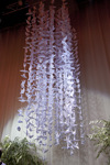 Canon EOS 5D Mark II, 2013:10:27 16:41:53 -- 1/40 sec, f/4.0.  No Flash, Compulsory.3744x5616 