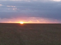 Galaxy Nexus, 2013:12:30 07:17:41 -- 4459/500000 sec, f/2.8.  No Flash.2592x1944 0.