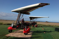 Canon EOS 5D Mark II, 2013:12:30 13:58:18 -- 1/50 sec, f/20.0.  No Flash, Compulsory.5616x3744 Off.