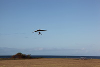 Canon EOS 5D Mark II, 2013:12:30 14:01:59 -- 1/80 sec, f/22.0.  No Flash, Compulsory.5616x3744 Off.