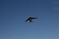 Canon EOS 5D Mark II, 2013:12:30 14:02:02 -- 1/80 sec, f/20.0.  No Flash, Compulsory.5616x3744 Off.