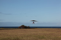 Canon EOS 5D Mark II, 2013:12:30 14:02:41 -- 1/80 sec, f/22.0.  No Flash, Compulsory.5616x3744 Off.