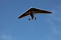 Canon EOS 5D Mark II, 2013:12:30 14:02:45 -- 1/80 sec, f/14.0.  No Flash, Compulsory.5616x3744 Off.