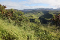 Canon EOS 5D Mark II, 2013:12:30 14:36:44 -- 1/80 sec, f/11.0.  No Flash, Compulsory.5616x3744 Off.