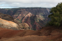 Canon EOS 5D Mark II, 2013:12:30 14:57:35 -- 1/80 sec, f/13.0.  No Flash, Compulsory.5616x3744 Off.