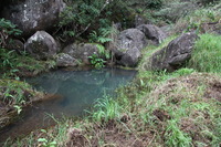 Canon EOS 5D Mark II, 2013:12:30 15:52:59 -- 1/80 sec, f/4.0.  No Flash, Compulsory.5616x3744 Off.