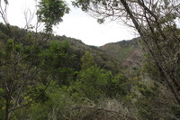 Canon EOS 5D Mark II, 2013:12:30 15:55:29 -- 1/80 sec, f/9.0.  No Flash, Compulsory.5616x3744 Off.