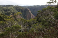 Canon EOS 5D Mark II, 2013:12:30 16:28:13 -- 1/60 sec, f/11.0.  No Flash, Compulsory.5616x3744 Off.