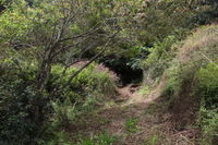 Canon EOS 5D Mark II, 2013:12:30 16:30:01 -- 1/60 sec, f/9.0.  No Flash, Compulsory.5616x3744 Off.