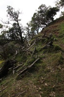 Canon EOS 5D Mark II, 2013:12:30 16:54:32 -- 1/60 sec, f/13.0.  No Flash, Compulsory.5616x3744 Off.