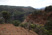 Canon EOS 5D Mark II, 2013:12:30 16:56:01 -- 1/60 sec, f/13.0.  No Flash, Compulsory.5616x3744 Off.