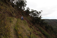 Canon EOS 5D Mark II, 2013:12:30 16:58:00 -- 1/60 sec, f/13.0.  No Flash, Compulsory.5616x3744 Off.