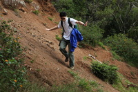 Canon EOS 5D Mark II, 2013:12:30 17:02:47 -- 1/60 sec, f/10.0.  No Flash, Compulsory.5616x3744 Off.