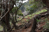 Canon EOS 5D Mark II, 2013:12:30 17:08:48 -- 1/60 sec, f/9.0.  No Flash, Compulsory.5616x3744 Off.