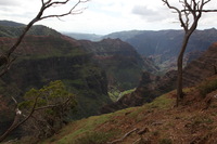 Canon EOS 5D Mark II, 2013:12:30 17:12:19 -- 1/60 sec, f/14.0.  No Flash, Compulsory.5616x3744 Off.