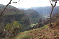 Canon EOS 5D Mark II, 2013:12:30 17:12:25 -- 1/60 sec, f/10.0.  No Flash, Compulsory.5616x3744 Off.