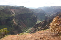 Canon EOS 5D Mark II, 2013:12:30 18:03:51 -- 1/60 sec, f/10.0.  No Flash, Compulsory.5616x3744 Off.