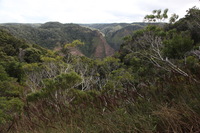 Canon EOS 5D Mark II, 2013:12:30 18:37:59 -- 1/40 sec, f/11.0.  No Flash, Compulsory.5616x3744 Off.