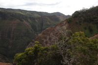 Canon EOS 5D Mark II, 2013:12:30 18:49:34 -- 1/60 sec, f/10.0.  No Flash, Compulsory.5616x3744 Off.