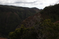 Canon EOS 5D Mark II, 2013:12:30 18:49:35 -- 1/60 sec, f/14.0.  No Flash, Compulsory.5616x3744 Off.