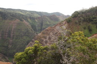 Canon EOS 5D Mark II, 2013:12:30 18:49:35 -- 1/60 sec, f/7.1.  No Flash, Compulsory.5616x3744 Off.