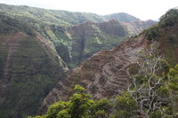 Canon EOS 5D Mark II, 2013:12:30 18:58:35 -- 1/60 sec, f/9.0.  No Flash, Compulsory.5616x3744 Off.