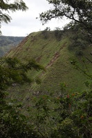 Canon EOS 5D Mark II, 2013:12:30 19:12:11 -- 1/60 sec, f/8.0.  No Flash, Compulsory.5616x3744 Off.