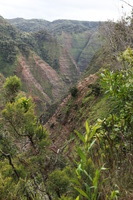 Canon EOS 5D Mark II, 2013:12:30 19:16:42 -- 1/60 sec, f/8.0.  No Flash, Compulsory.5616x3744 Off.