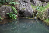 Canon EOS 5D Mark II, 2013:12:30 19:33:46 -- 1/60 sec, f/4.0.  No Flash, Compulsory.5616x3744 Off.