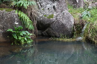 Canon EOS 5D Mark II, 2013:12:30 19:33:55 -- 1/60 sec, f/4.0.  No Flash, Compulsory.5616x3744 Off.