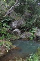 Canon EOS 5D Mark II, 2013:12:30 19:34:20 -- 1/60 sec, f/4.5.  No Flash, Compulsory.5616x3744 Off.