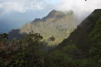 Canon EOS 5D Mark II, 2013:12:30 20:11:02 -- 1/60 sec, f/14.0.  No Flash, Compulsory.5616x3744 Off.