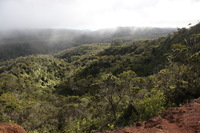 Canon EOS 5D Mark II, 2013:12:30 20:38:51 -- 1/60 sec, f/10.0.  No Flash, Compulsory.5616x3744 Off.