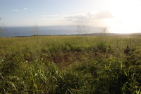 Canon EOS 5D Mark II, 2013:12:30 21:35:30 -- 1/60 sec, f/18.0.  No Flash, Compulsory.5616x3744 Off.