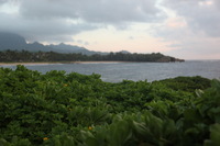 Canon EOS 5D Mark II, 2014:01:02 07:31:21 -- 1/60 sec, f/4.0.  No Flash, Compulsory.5616x3744 Off.