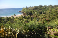 Canon EOS 5D Mark II, 2014:01:04 09:24:15 -- 1/60 sec, f/5.6.  No Flash, Compulsory.5616x3744 Off.