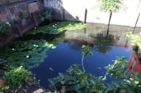 Canon EOS 5D Mark II, 2014:01:04 09:35:34 -- 1/50 sec, f/5.0.  No Flash, Compulsory.5616x3744 Off.