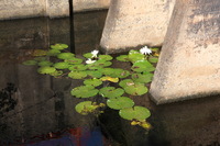 Canon EOS 5D Mark II, 2014:01:04 09:36:42 -- 1/60 sec, f/11.0.  No Flash, Compulsory.5616x3744 Off.