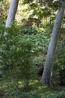 Canon EOS 5D Mark II, 2014:01:04 10:05:36 -- 1/60 sec, f/4.5.  No Flash, Compulsory.5616x3744 Off.