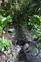 Canon EOS 5D Mark II, 2014:01:04 10:17:19 -- 1/40 sec, f/4.0.  No Flash, Compulsory.5616x3744 Off.