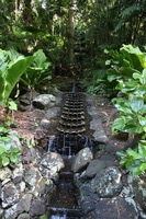 Canon EOS 5D Mark II, 2014:01:04 10:17:35 -- 1/40 sec, f/4.0.  No Flash, Compulsory.5616x3744 Off.