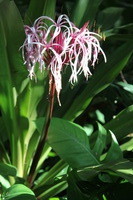 Canon EOS 5D Mark II, 2014:01:04 10:20:06 -- 1/40 sec, f/5.0.  No Flash, Compulsory.5616x3744 Off.