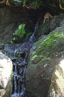 Canon EOS 5D Mark II, 2014:01:04 10:23:25 -- 1/40 sec, f/4.0.  No Flash, Compulsory.5616x3744 Off.