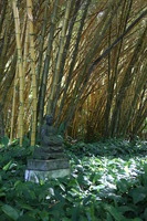 Canon EOS 5D Mark II, 2014:01:04 10:27:53 -- 1/40 sec, f/4.5.  No Flash, Compulsory.5616x3744 Off.