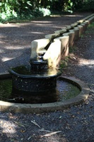 Canon EOS 5D Mark II, 2014:01:04 10:30:10 -- 1/40 sec, f/4.5.  No Flash, Compulsory.5616x3744 Off.