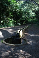 Canon EOS 5D Mark II, 2014:01:04 10:32:37 -- 1/40 sec, f/4.5.  No Flash, Compulsory.5616x3744 Off.