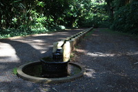 Canon EOS 5D Mark II, 2014:01:04 10:32:42 -- 1/40 sec, f/4.0.  No Flash, Compulsory.5616x3744 Off.