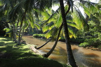 Canon EOS 5D Mark II, 2014:01:04 10:40:59 -- 1/40 sec, f/10.0.  No Flash, Compulsory.5616x3744 Off.